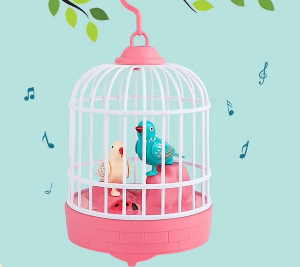 ✴️𝗠𝘂𝘀𝗶𝗰𝗮𝗹 𝗗𝗮𝗻𝗰𝗶𝗻𝗴 𝗮𝗻𝗱 𝗧𝗮𝗹𝗸𝗶𝗻𝗴 𝗕𝗶𝗿𝗱 𝗧𝗼𝘆